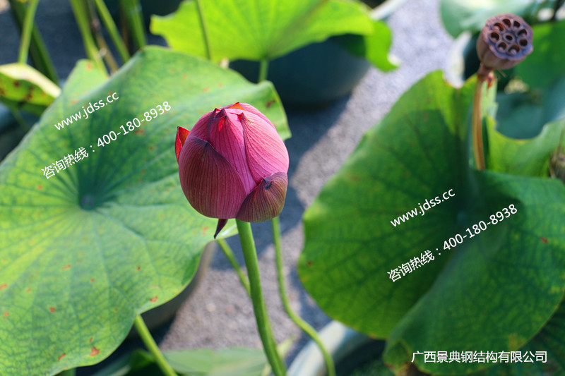 大港澳免费资科大全