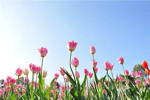 大港澳免费资科大全