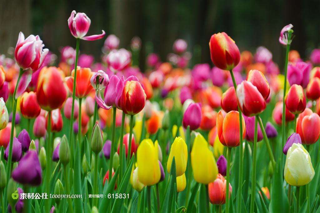 大港澳免费资科大全