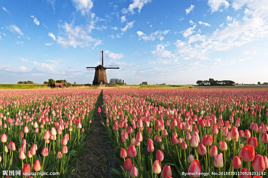 大港澳免费资科大全