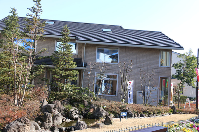 大港澳免费资科大全