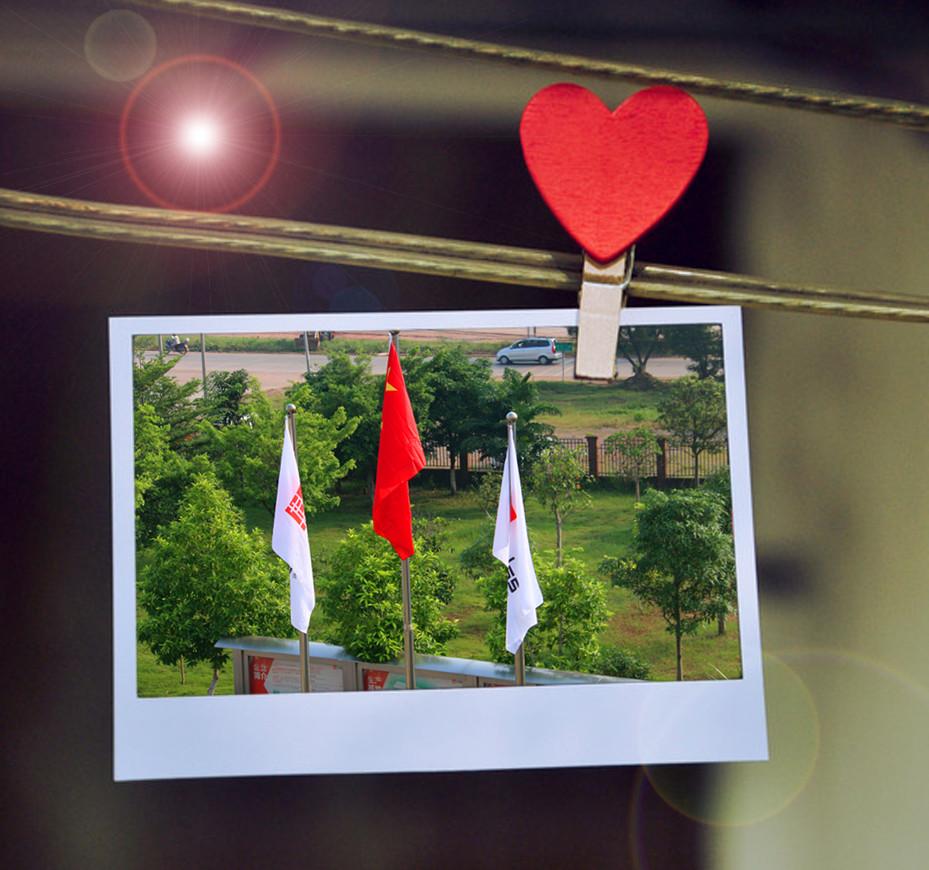 大港澳免费资科大全