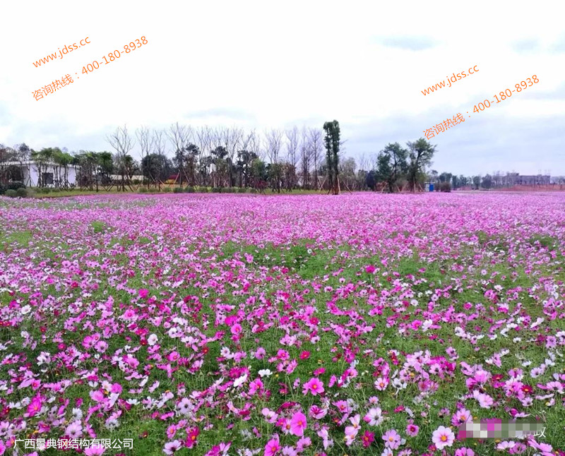 大港澳免费资科大全