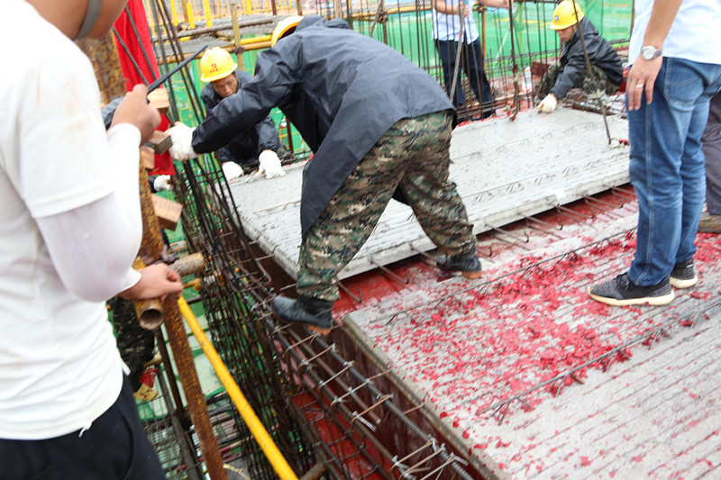 大港澳免费资科大全