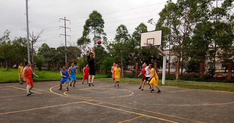 大港澳免费资科大全