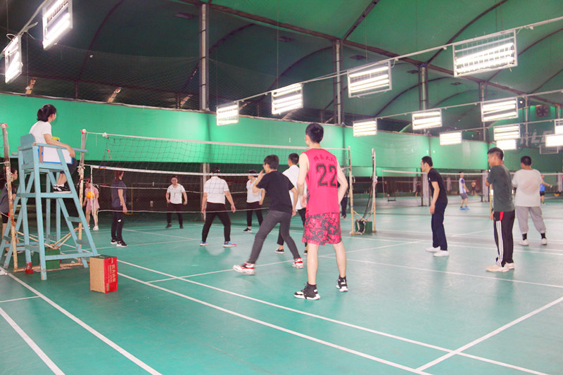 大港澳免费资科大全