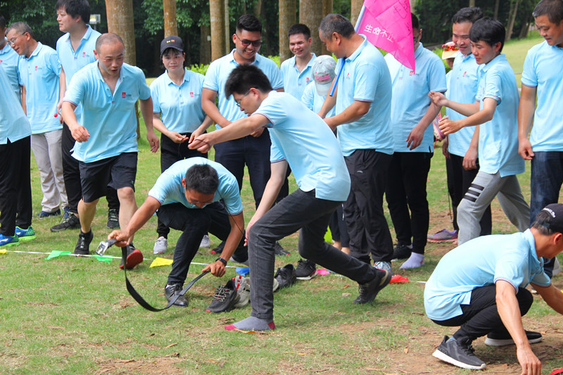 大港澳免费资科大全