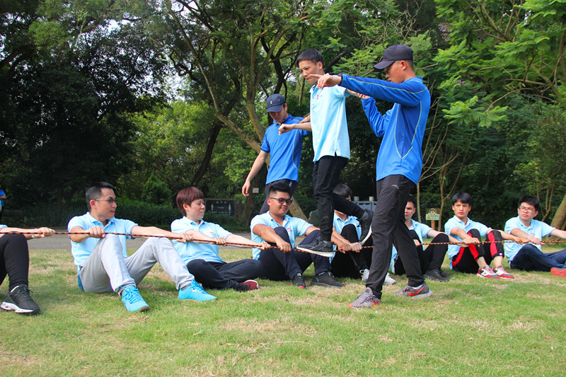 大港澳免费资科大全