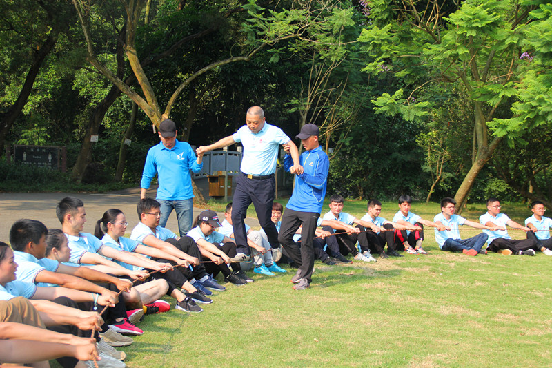 大港澳免费资科大全