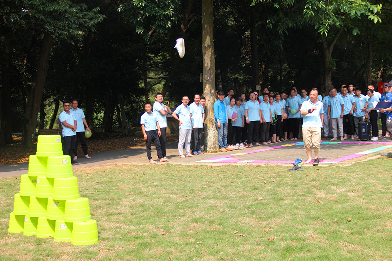 大港澳免费资科大全