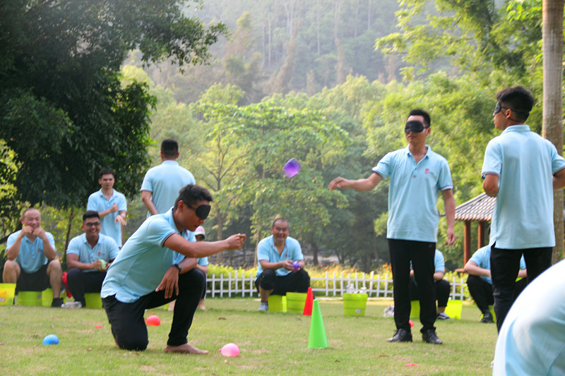 大港澳免费资科大全