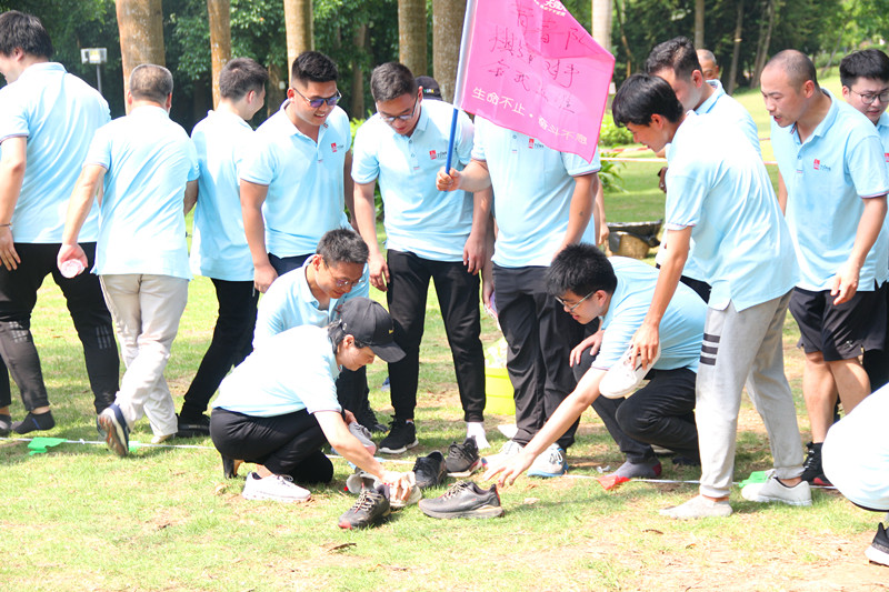 大港澳免费资科大全