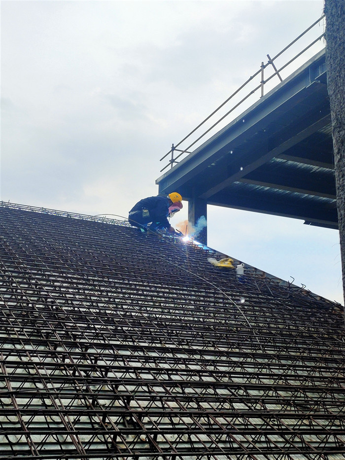 大港澳免费资科大全