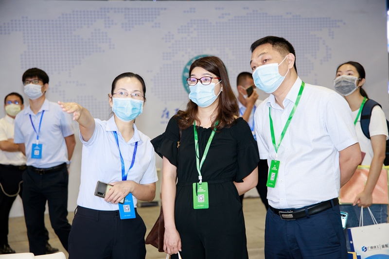 大港澳免费资科大全