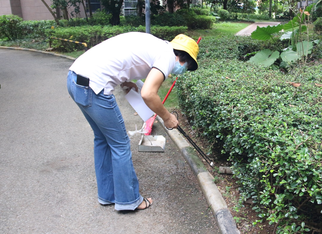 大港澳免费资科大全