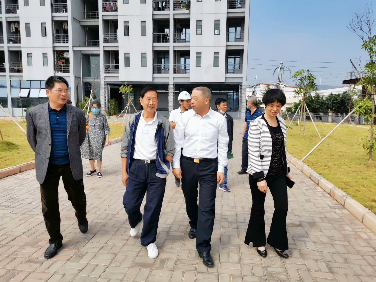 大港澳免费资科大全