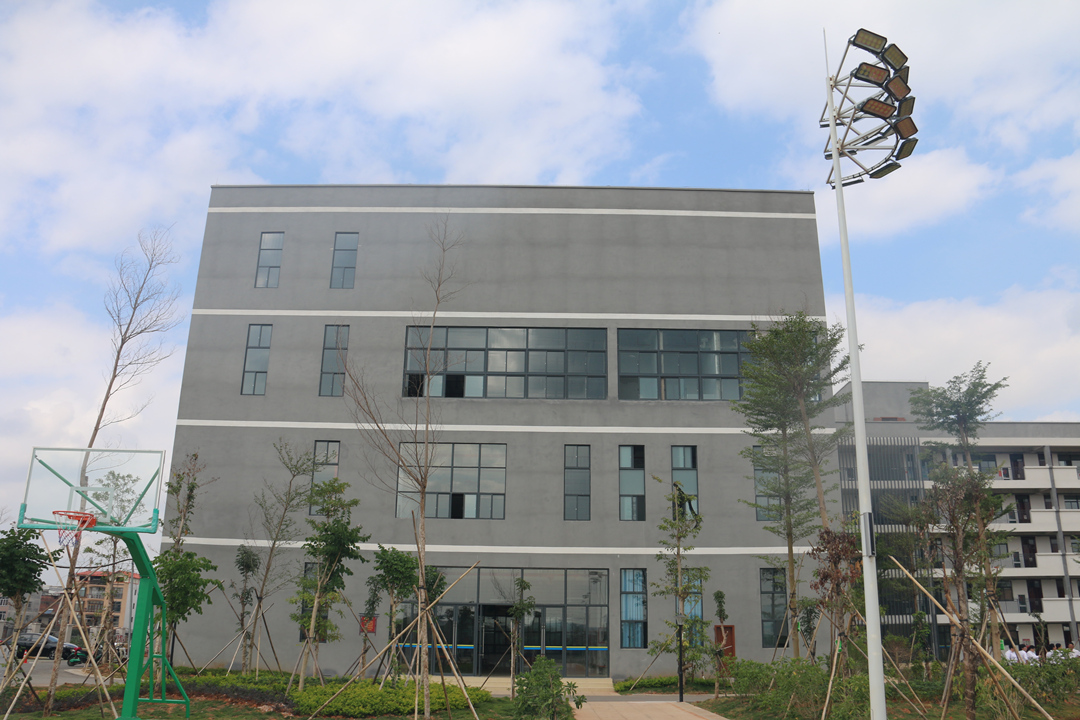 大港澳免费资科大全