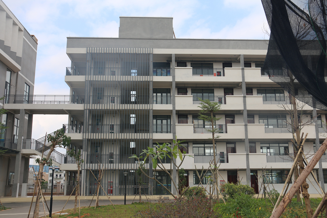 大港澳免费资科大全