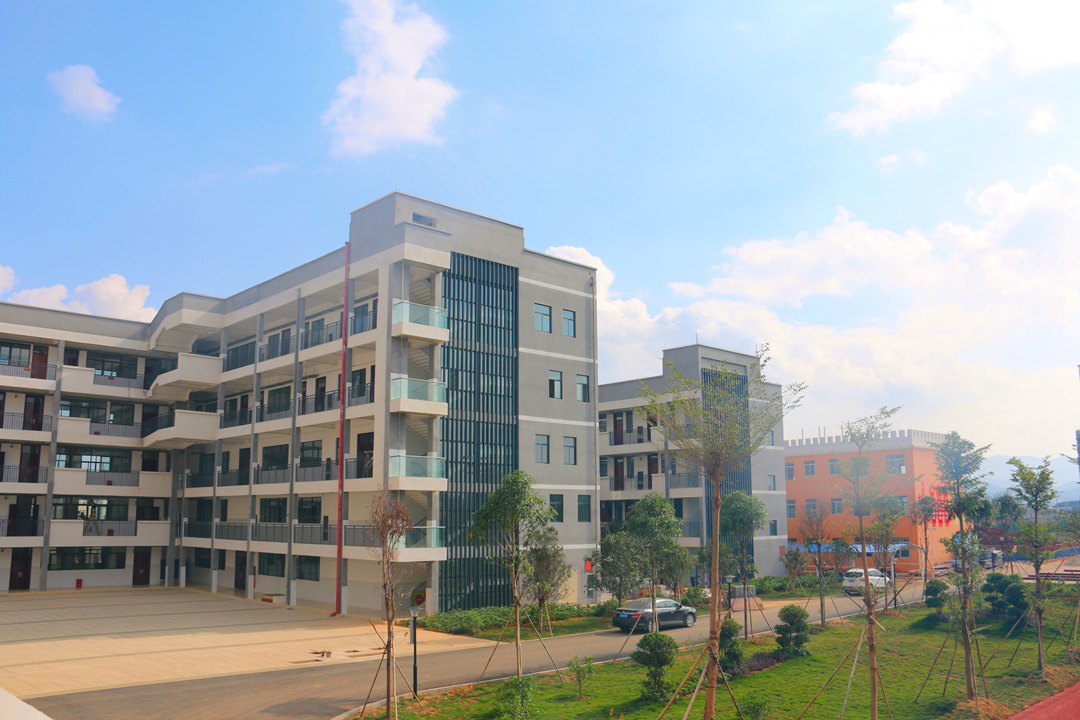 大港澳免费资科大全