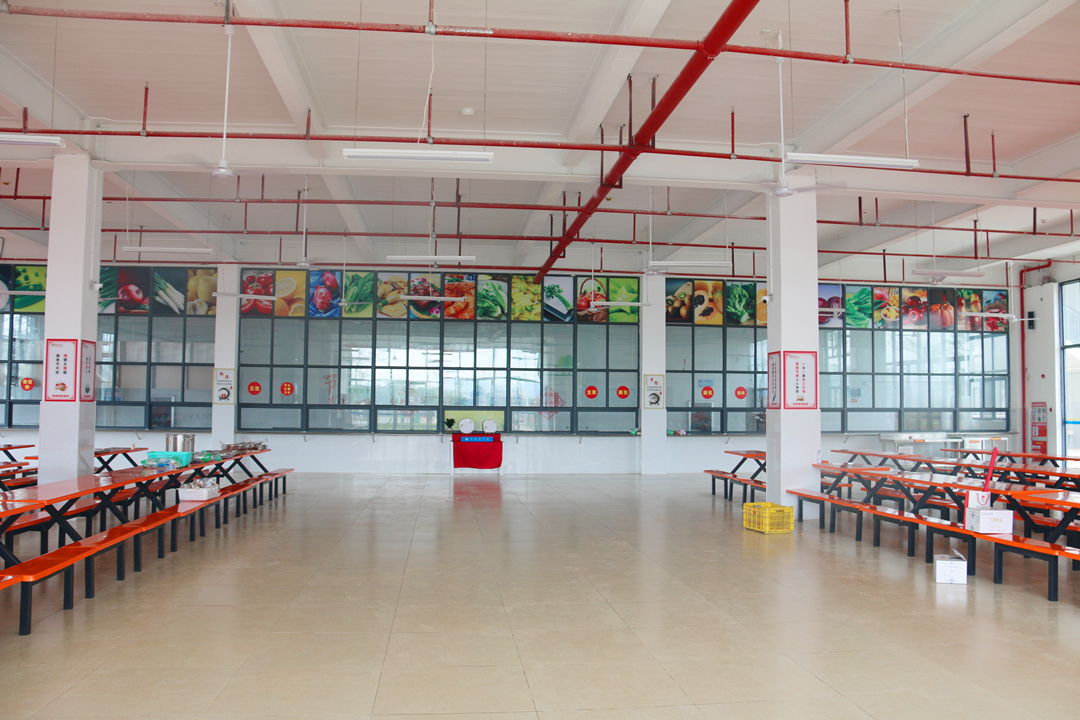 大港澳免费资科大全