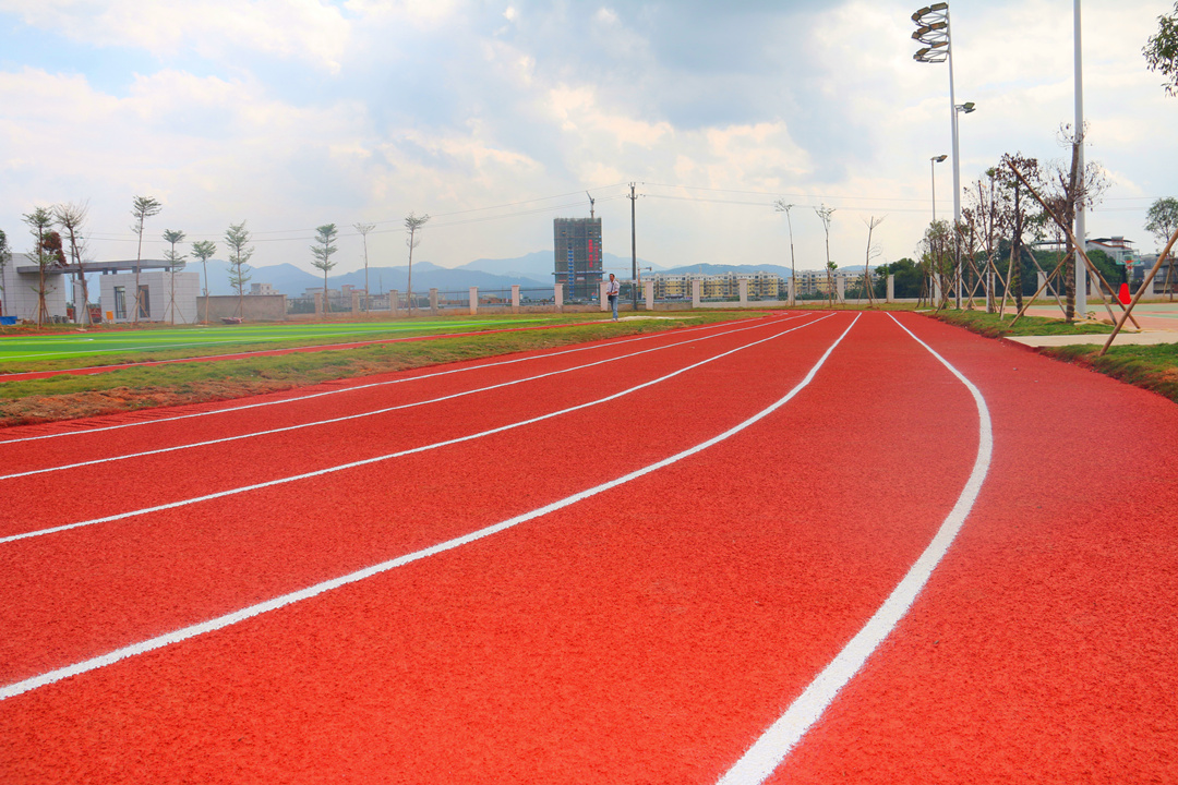大港澳免费资科大全