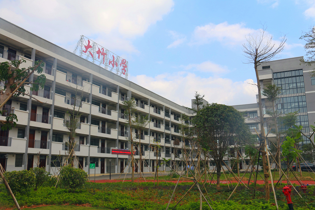 大港澳免费资科大全