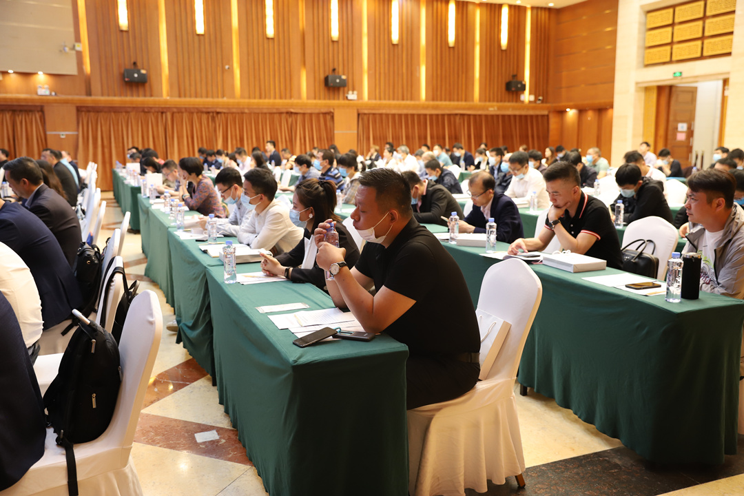 大港澳免费资科大全