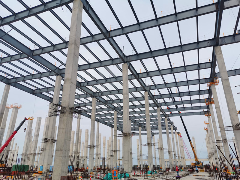 大港澳免费资科大全