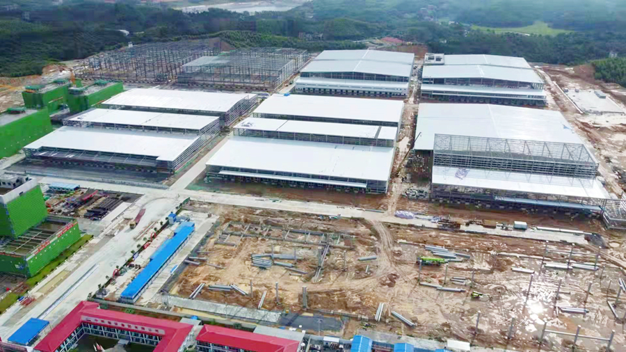 大港澳免费资科大全