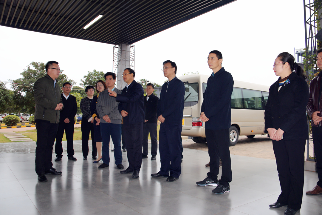 大港澳免费资科大全