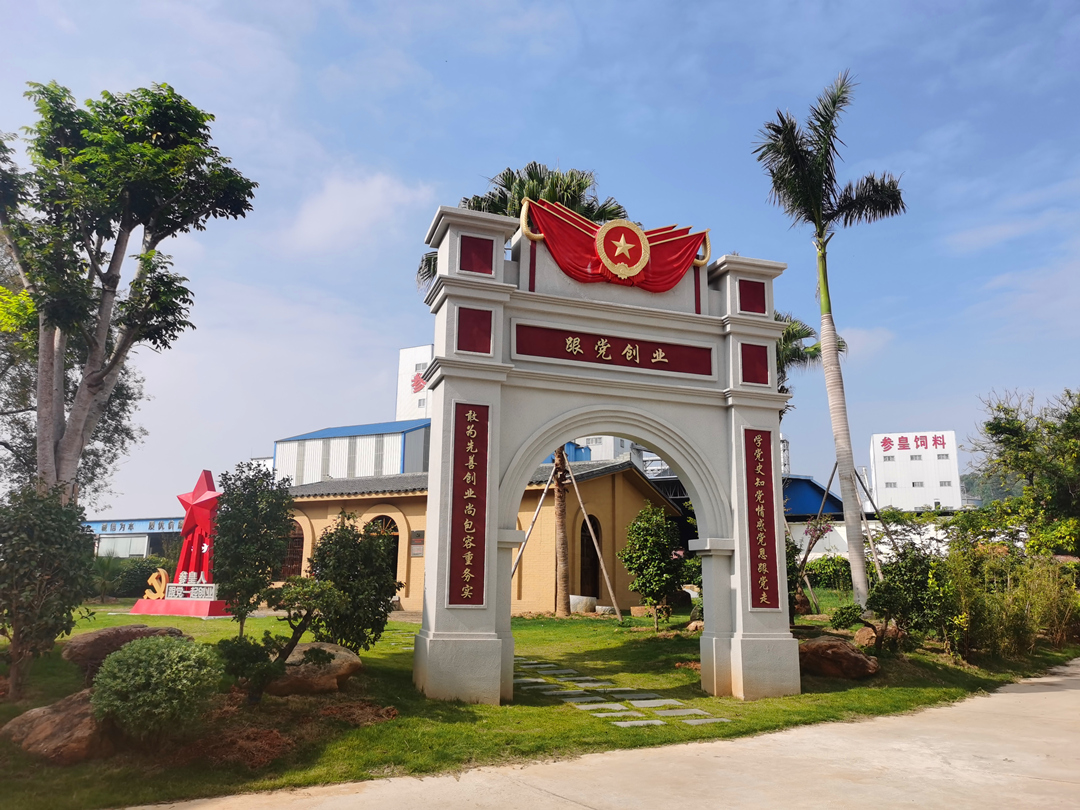 大港澳免费资科大全