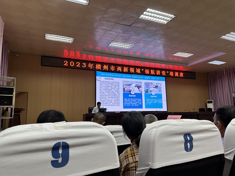 大港澳免费资科大全