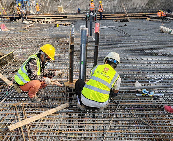 大港澳免费资科大全