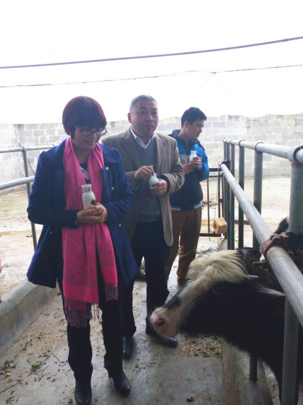 大港澳免费资科大全