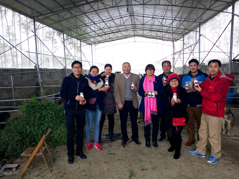 大港澳免费资科大全