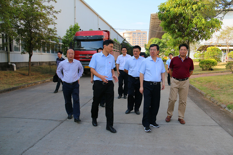 大港澳免费资科大全